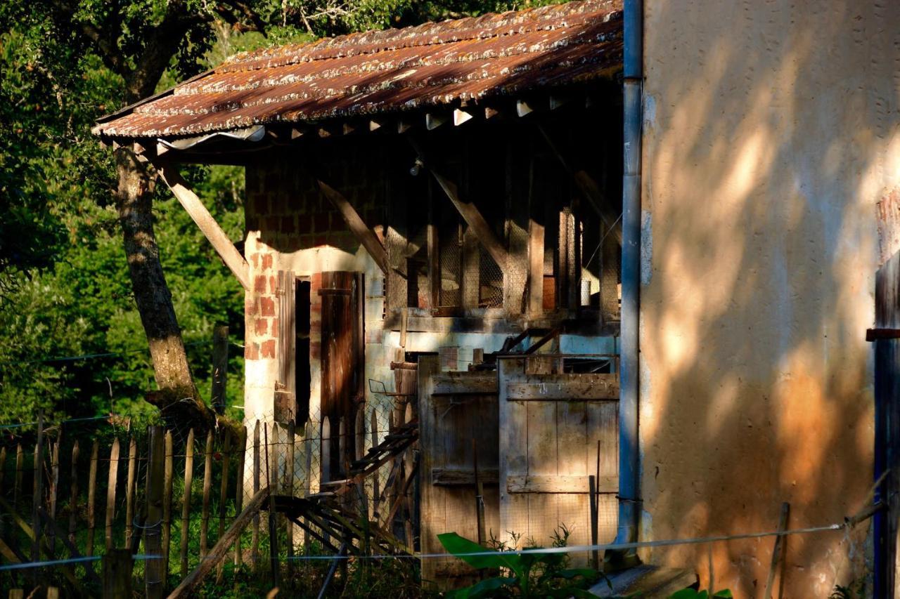 Souslens, Castaignos-Souslens 40 Bed & Breakfast Ngoại thất bức ảnh